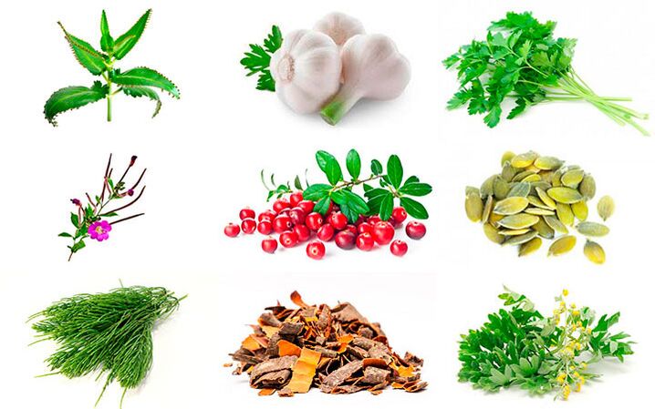 Λαϊκές θεραπείες για τη θεραπεία της προστατίτιδας